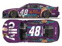 *Preorder* Alex Bowman 2026 Ally Best Friends 1:24 Color Chrome Nascar Diecast Alex Bowman, Nascar Diecast, 2026 Nascar Diecast, 1:24 Scale Diecast